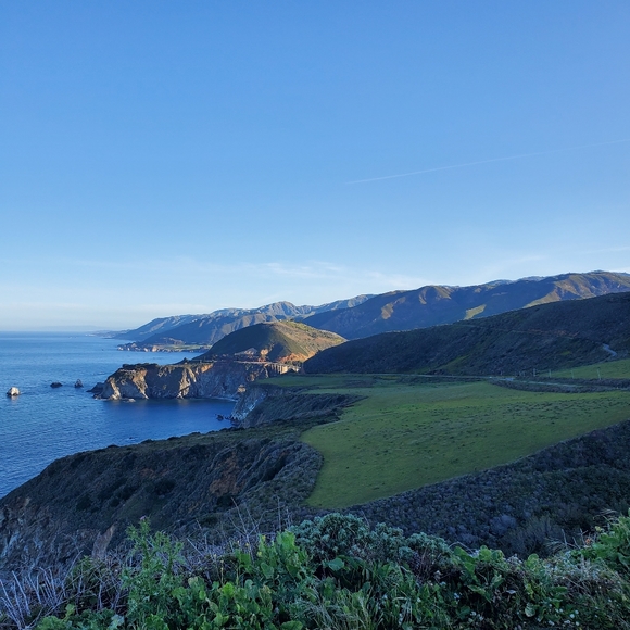 Meet your Posher, Celeste - Picture 9 of 16